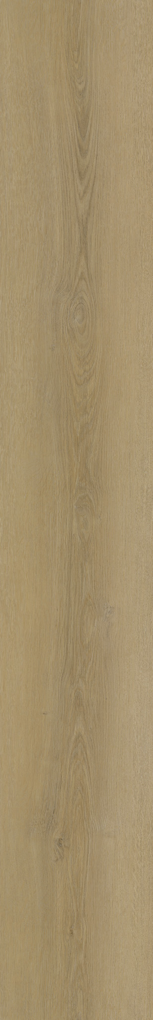 ZEN KALUA/23X153X0,6/SPC - 40392_ZEN-KALUA_23X153X06_SPC_1