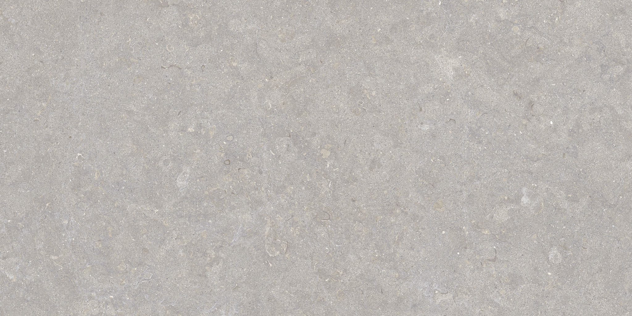 GHENT GREY/50X100X2/A/R - 35568_GHENT-GREY-50X100X2-A-R_01