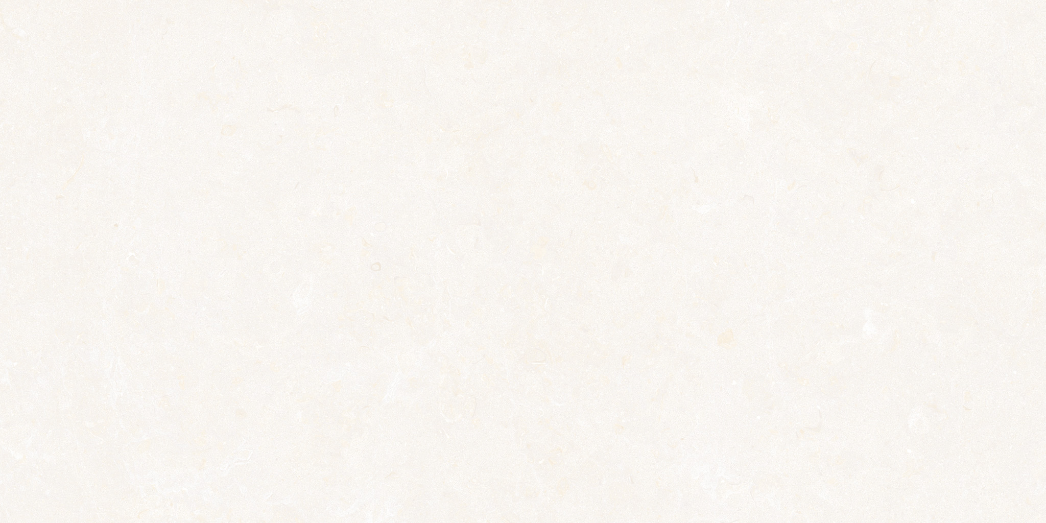 GHENT WHITE/50X100X2/A/R - 35570_GHENT-WHITE-50X100X2-A-R_01