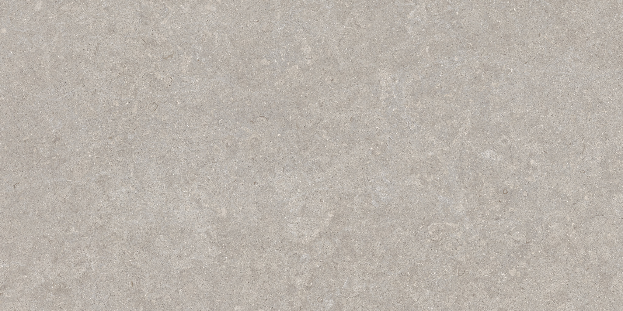 GHENT GREY AS/60X120X0,9/C/R - 38936_GHENT-GREY-60X120-AS-R_01